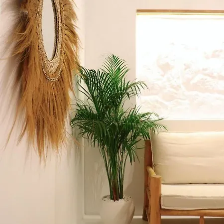 The Nine Graces - Kastraki With Private Swimming Pool Willa